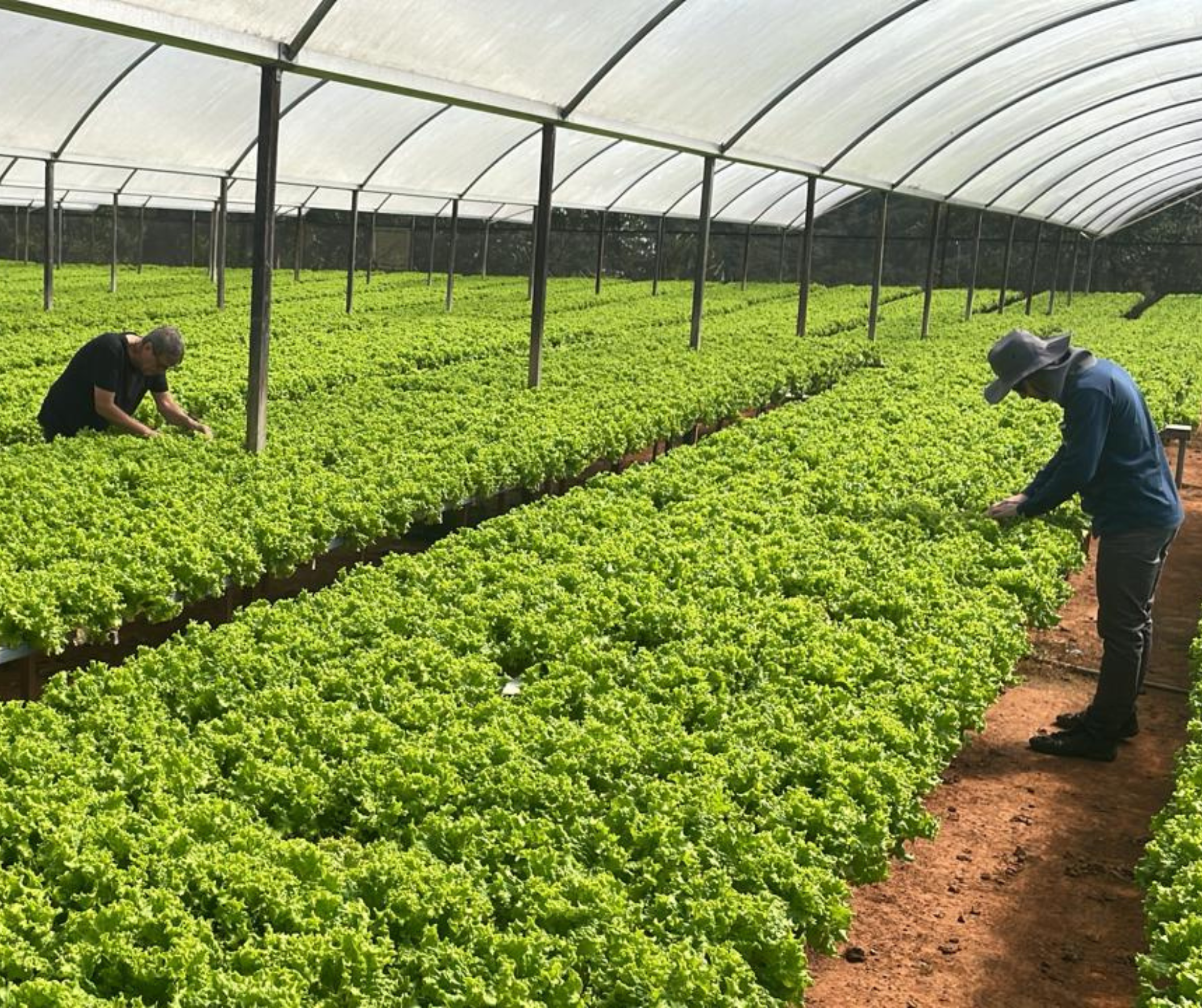 Tecnologia e Resultados na Região Serrana do Rio de Janeiro